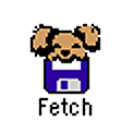 Fetch